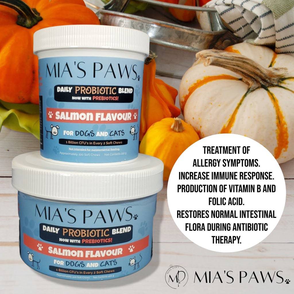 Mia's Paws Daily Probiotic Blend SOFT CHEWS - Mia's Paws