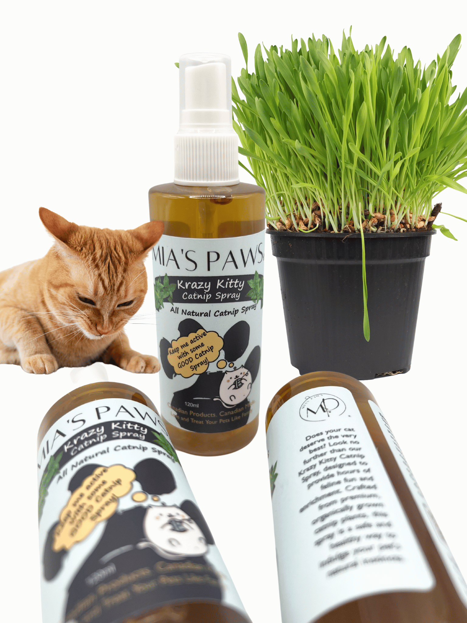 Krazy Kitty Catnip Spray - Mia's Paws